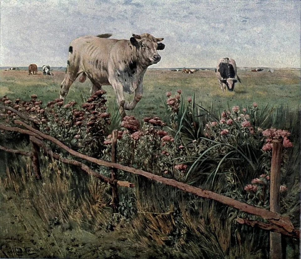 Alfred Verwee