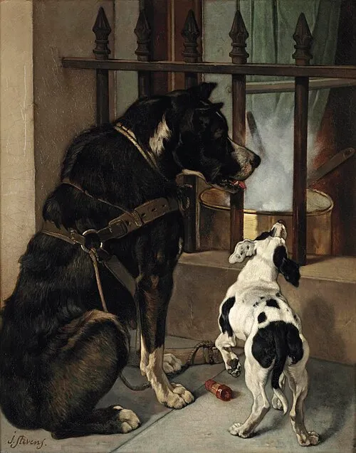 Joseph Stevens
