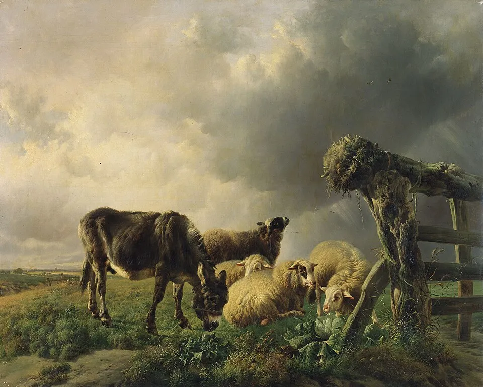 Louis Robbe