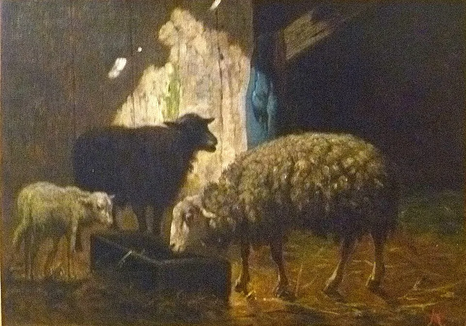 Louis Robbe